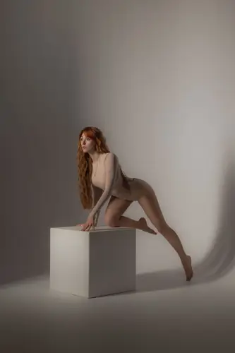 Viola